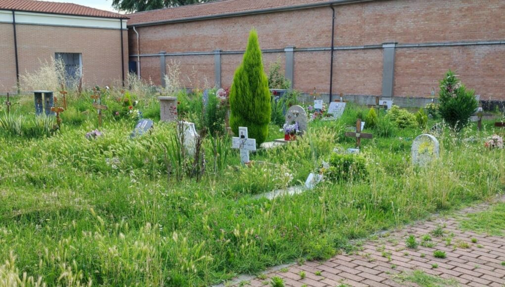 Cimitero