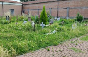Erbacce che coprono le tombe, la situazione indecorosa al cimitero di Valsamoggia Cimitero