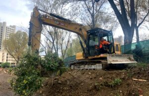 Non c’è pace al Don Bosco, presidio contro l’abbattimento di alberi per il tram Don Bosco