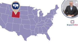 Come Aprire una Società in Wyoming: Guida Completa e Pratica wyoming