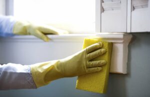 La ditta di pulizie per le pulizie domestiche: un aiuto che non avevi considerato Pulizie domestiche