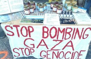 Vietato chiedere la fine dei bombardamenti a Gaza, apicoltore si becca una multa di 400 euro Multa