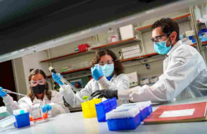L’importanza degli esami del sangue nella medicina preventiva esami del sangue