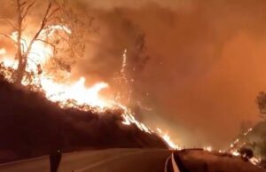 Cult News | Fatti artistici