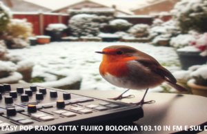 Play list Puntata n. 8 di Domenica 23 febbraio 2025 Easy Pop, 100% Musica Indipendente per menti libere