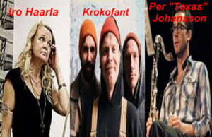 A Salt Peanuts Iro Haarla, Unionen, Krokofant