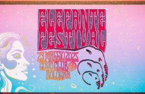 Elefante Fest, «Musica bella in un’epoca brutta» Elefante Rec
