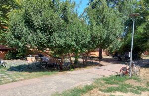 Rigenerazione del Giardino San Leonardo, per il comitato «è una privatizzazione strisciante» Giardino San Leonardo