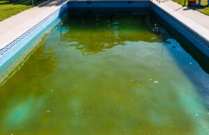 Acqua verde in piscina? Scopri le cause principali e come mantenerla limpida tutto l’anno Acqua-verde