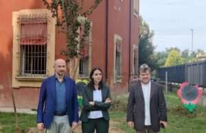 Gli alberi in vaso cominciano ad essere piantumati: i primi al nido Grosso Alberi in vaso