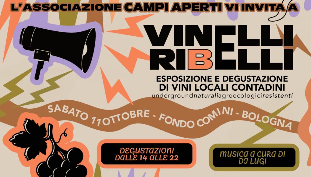 vinelliribelli25