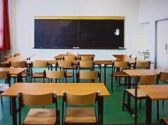 Educatore di plesso o tappabuchi?