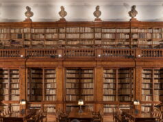 “Il corpo della lingua”, l’Università di Bologna protagonista di Art City 2026 Art City Bologna