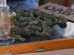 Droghe, la destra e il proibizionismo: ristretto ancora il concetto di “lieve entità” Droghe