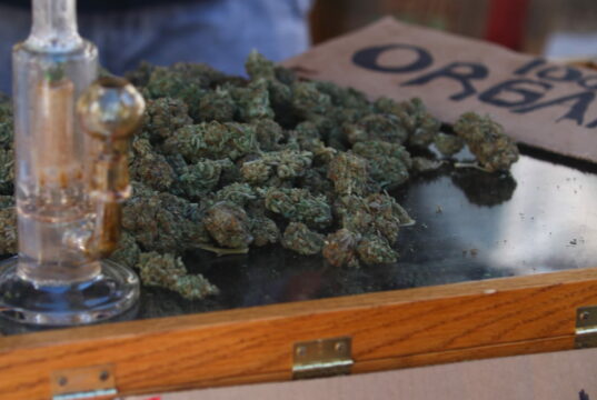 Droghe, la destra e il proibizionismo: ristretto ancora il concetto di “lieve entità” Droghe