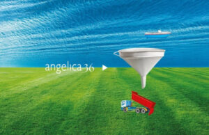 Il festival AngelicA chiama, la musica risponde: in arrivo l’edizione 36 angelicA festival 2026