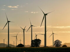 75 scienziati ed ecologisti sferzano il campo largo sulla transizione energetica Transizione energetica