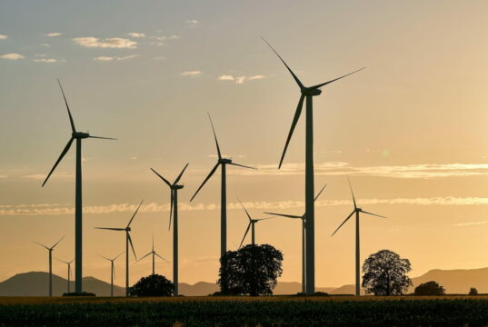 75 scienziati ed ecologisti sferzano il campo largo sulla transizione energetica Transizione energetica
