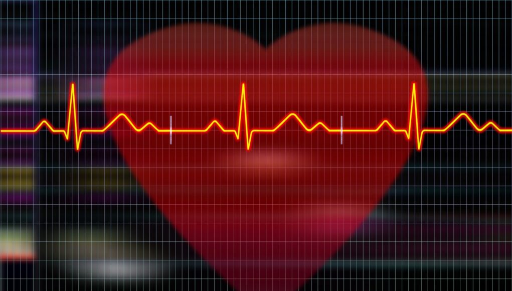 happyend-cardiogram-5781442_1920