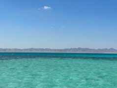 Egitto oltre le piramidi: il fascino delle località sul Mar Rosso mar rosso