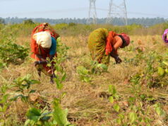 “Donne e agricoltura”: l’iniziativa di Arvaia per parlare di giustizia alimentare e giustizia di genere Donne e agricoltura