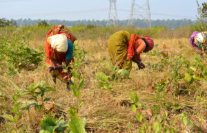 “Donne e agricoltura”: l’iniziativa di Arvaia per parlare di giustizia alimentare e giustizia di genere Donne e agricoltura