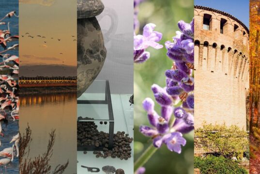 Alla scoperta di AmaParco: turismo sostenibile tra natura e cultura Iniziative e progetti di turismo sostenibile nei parchi del circuito AmaParco