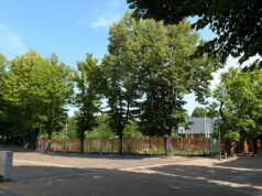 Alberi da abbattere per un parcheggio, le criticità del progetto dell’ex Pedretti a Casalecchio Ex Pedretti