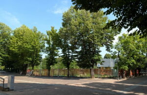 Alberi da abbattere per un parcheggio, le criticità del progetto dell’ex Pedretti a Casalecchio Ex Pedretti
