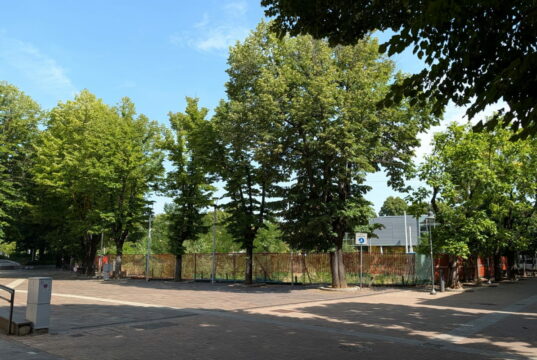Alberi da abbattere per un parcheggio, le criticità del progetto dell’ex Pedretti a Casalecchio Ex Pedretti