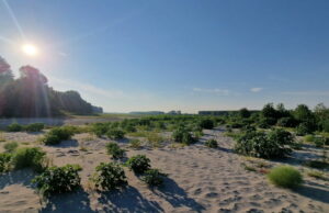 C’era una volta il fiume Po, la crisi idrica in Italia e le proposte di Legambiente Fiume Po