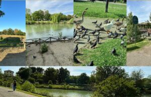 Torna al parco dei giardini il CàBuraFest laghetti Corticella