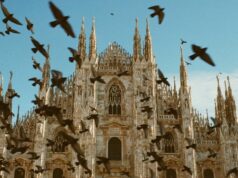 Eventi a Milano dal 7 al 13 settembre: milano
