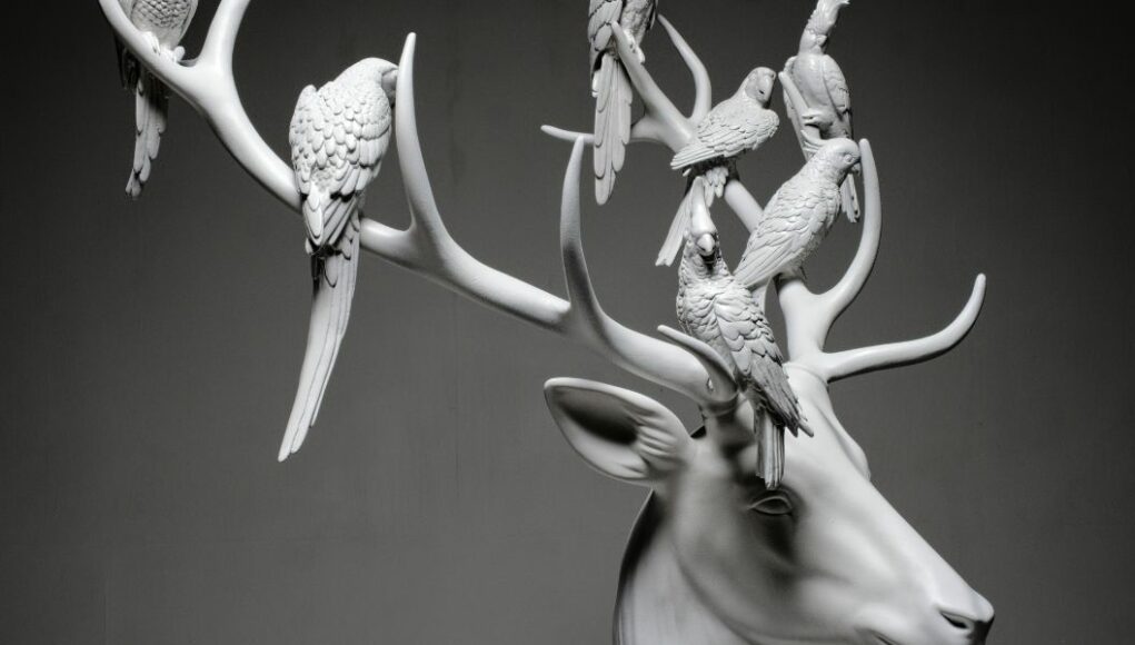 Progetto senza titolo(1) dear with parrots
