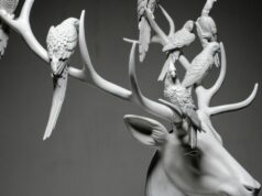 Cosa vuoi fare da piccolo? – la mostra di Marcantonio a Palazzo Rasponi dalle Teste dear with parrots