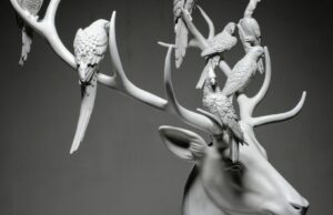 Cosa vuoi fare da piccolo? – la mostra di Marcantonio a Palazzo Rasponi dalle Teste dear with parrots