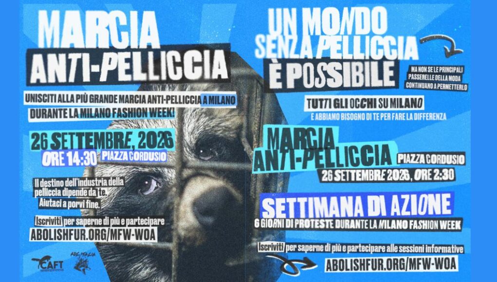 Progetto senza titolo(3) marcia anti-pelliccia